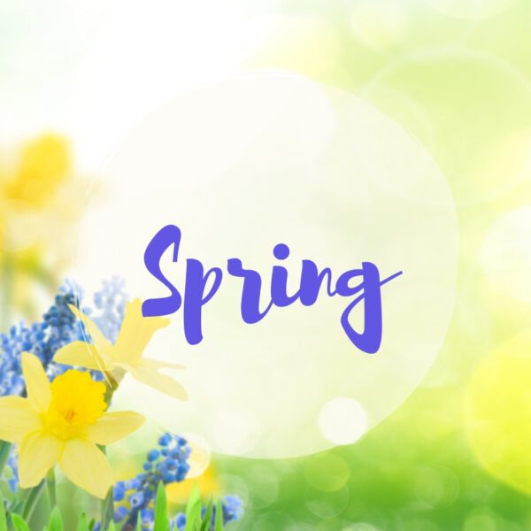 Spring SVG Cutting Files