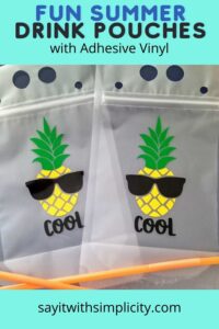 Stay Cool with Summer Drink Pouches