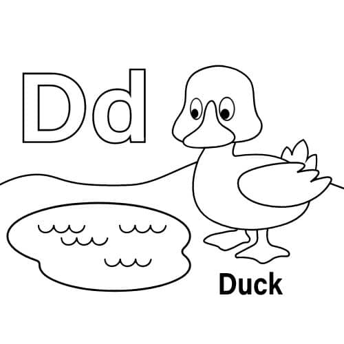 Dd Duck Coloring Page